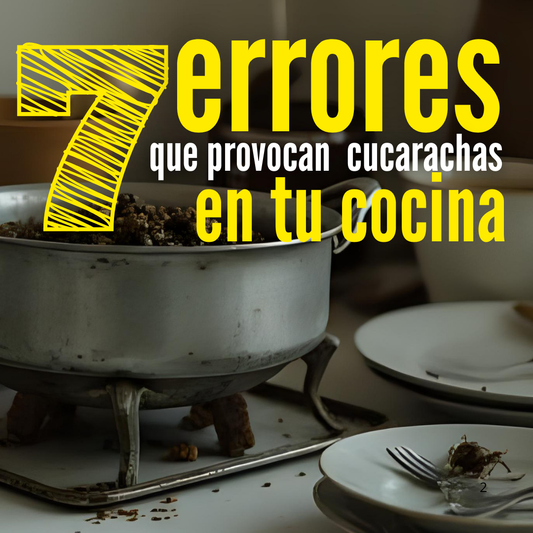 Los 7 errores más comunes que provocan cucarachas en tu cocina