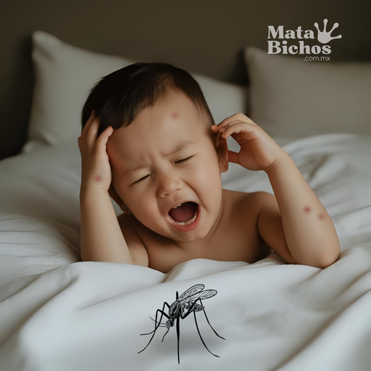 Las 5 plagas más bravas en México y cómo darles en la madre 🪳🦟🐀