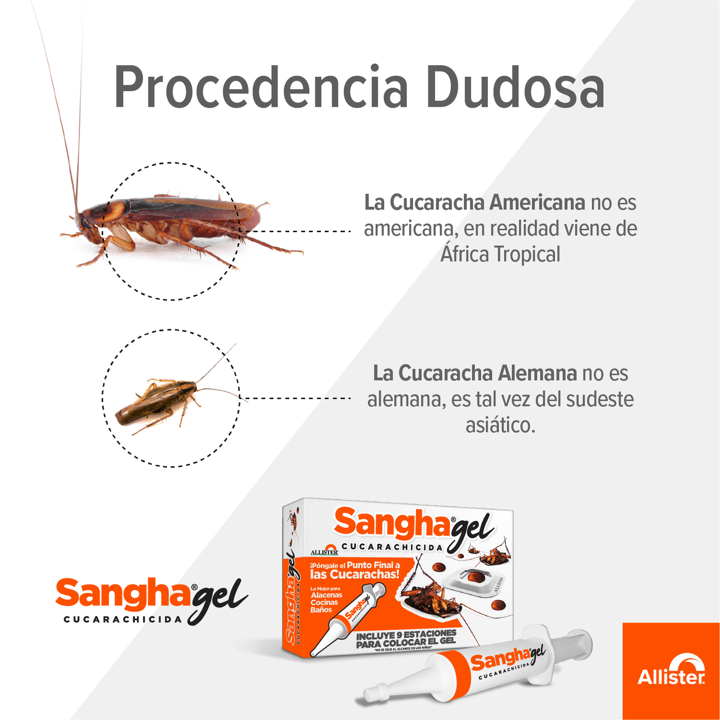 Sangha® – Control Limpio, Eficaz y Duradero 🛡️✨