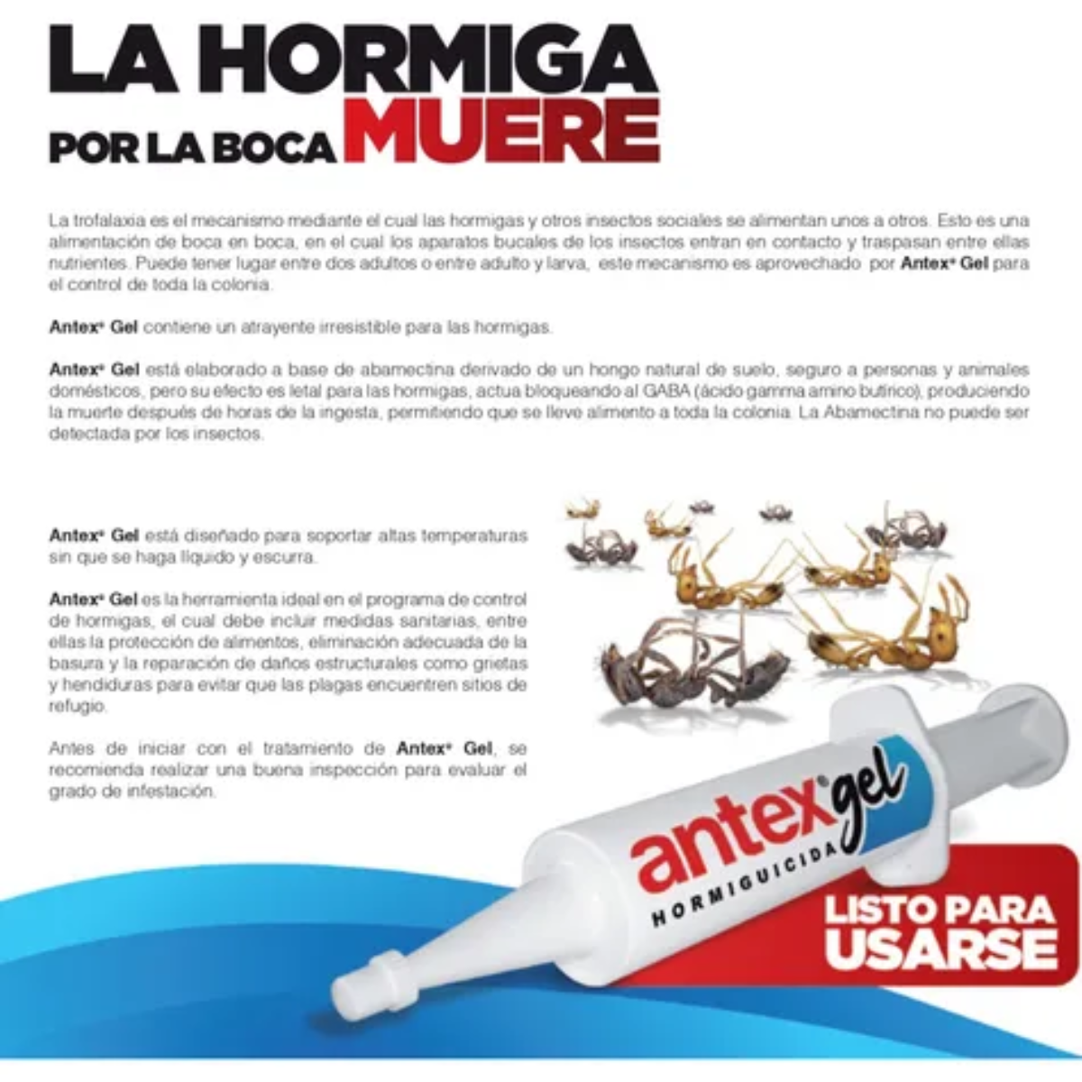 Antex Gel Hormiguicida en Jeringa | Cebo Para Eliminar Hormigas 🐜