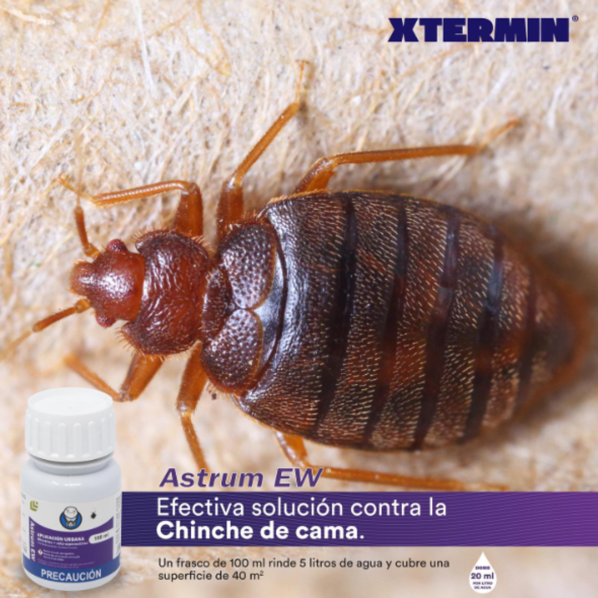 Insecticida para Chinches de Cama Astrum EW 100ml | Sin Olor 🛌