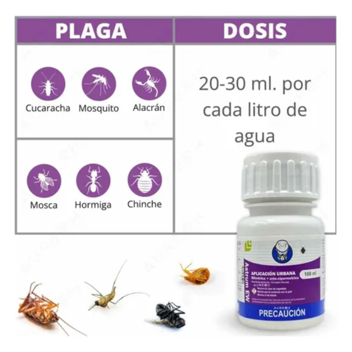 Insecticida para Chinches de Cama Astrum EW 100ml | Sin Olor 🛌