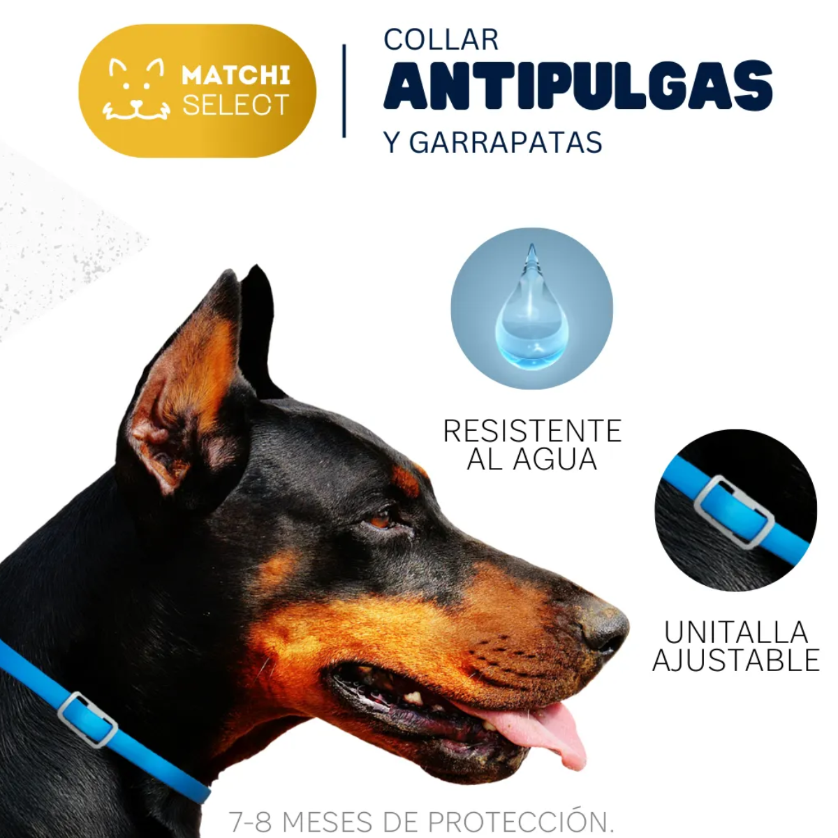 Collar Antipulgas Natural para Perro y Gato | Matchi Select 8 Meses 🌿