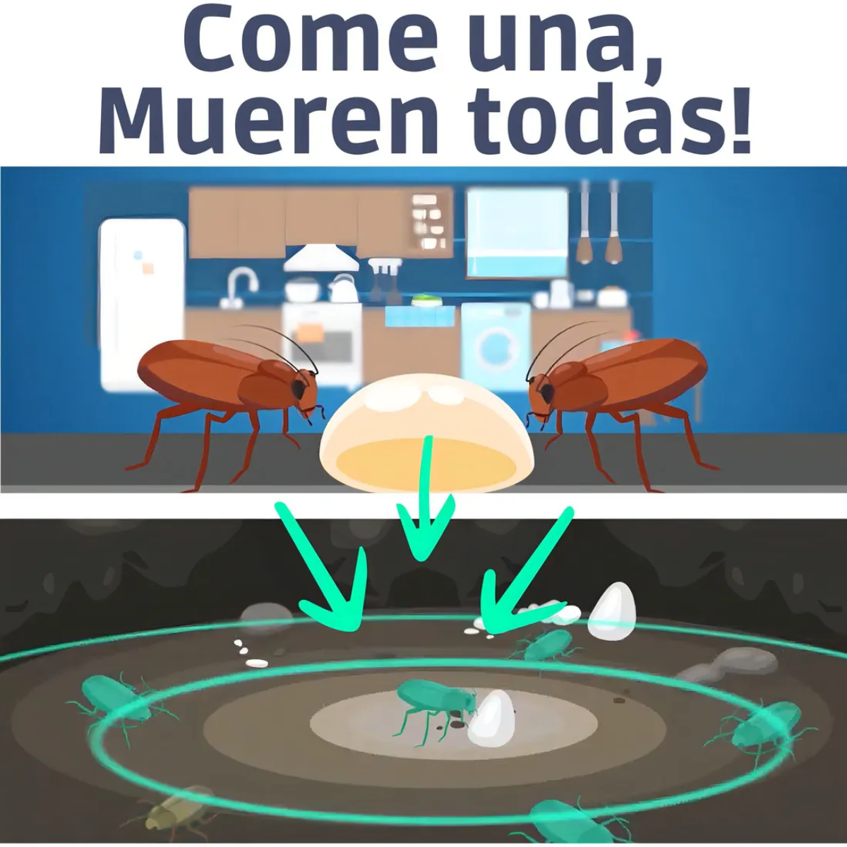 Gel Cucarachicida Aquiles 30g | Cebo Efecto Dominó 🪳