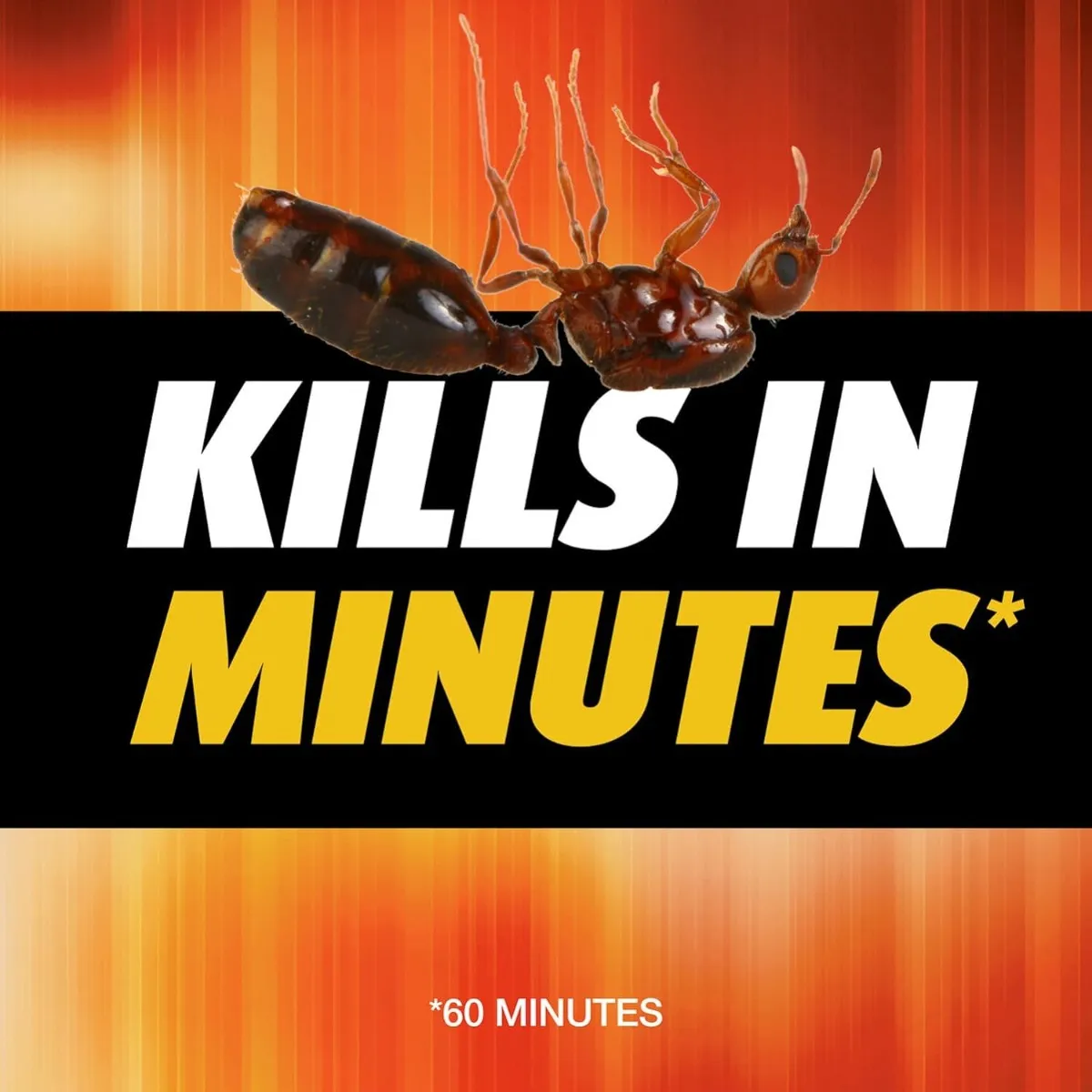 Insecticida en Polvo para Hormigas de Fuego Ortho Orthene 340g 🔥