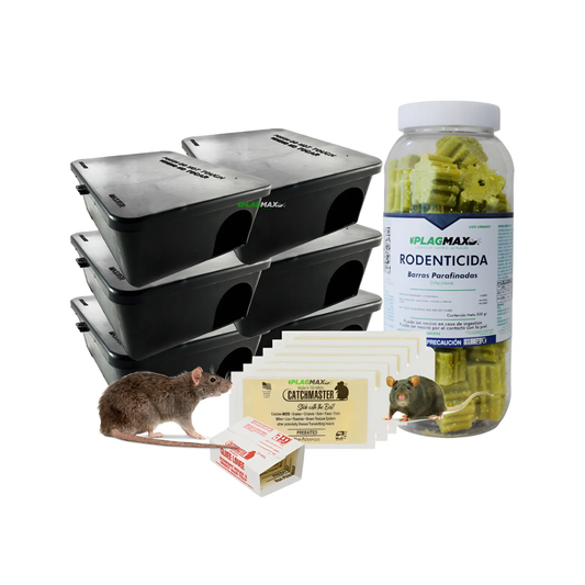 Kit Control de Ratas y Ratones | 6 Cebaderos + Raticida y Trampas 🐭
