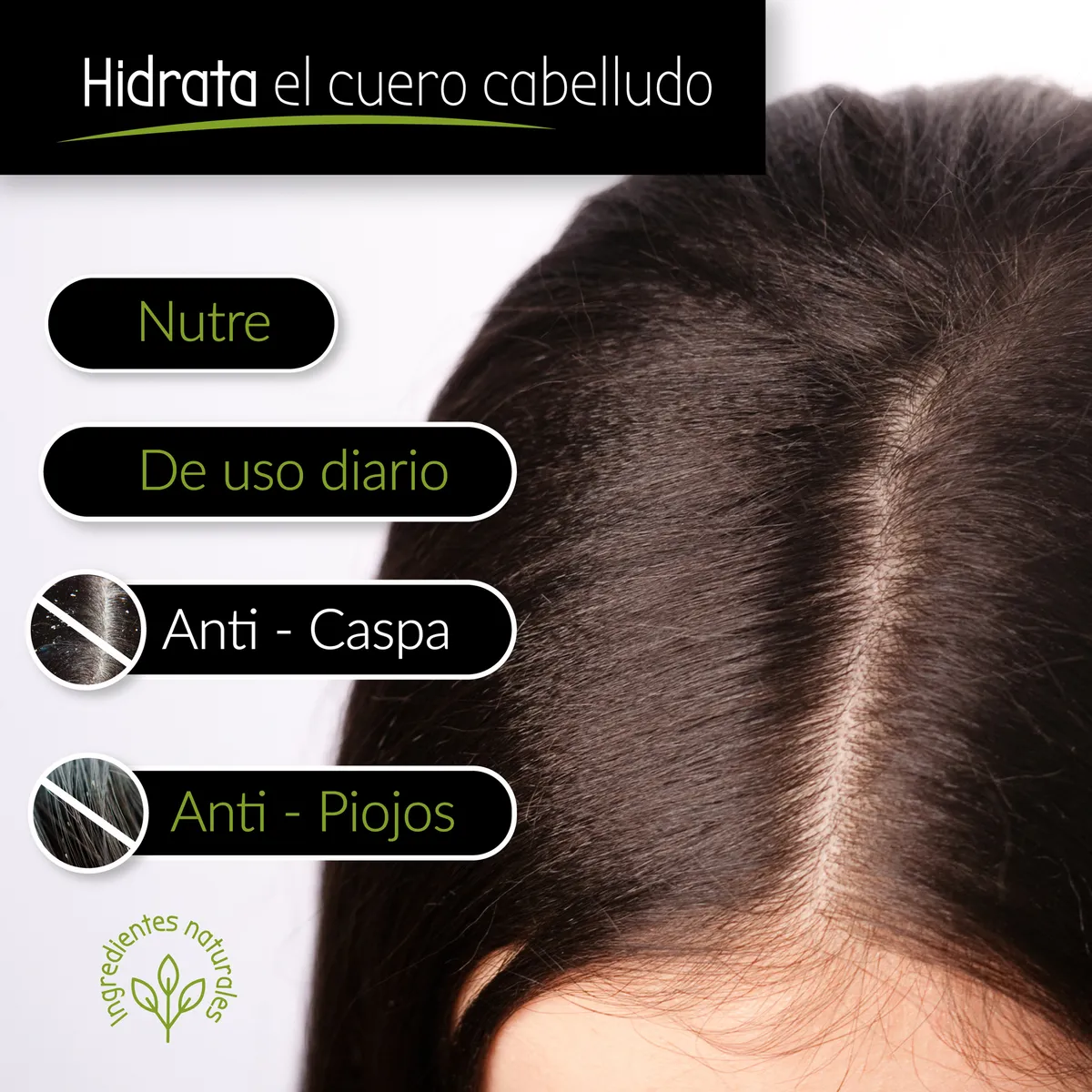 Kit Profesional para Piojos y Liendres Sure Repel | Natural 🌿