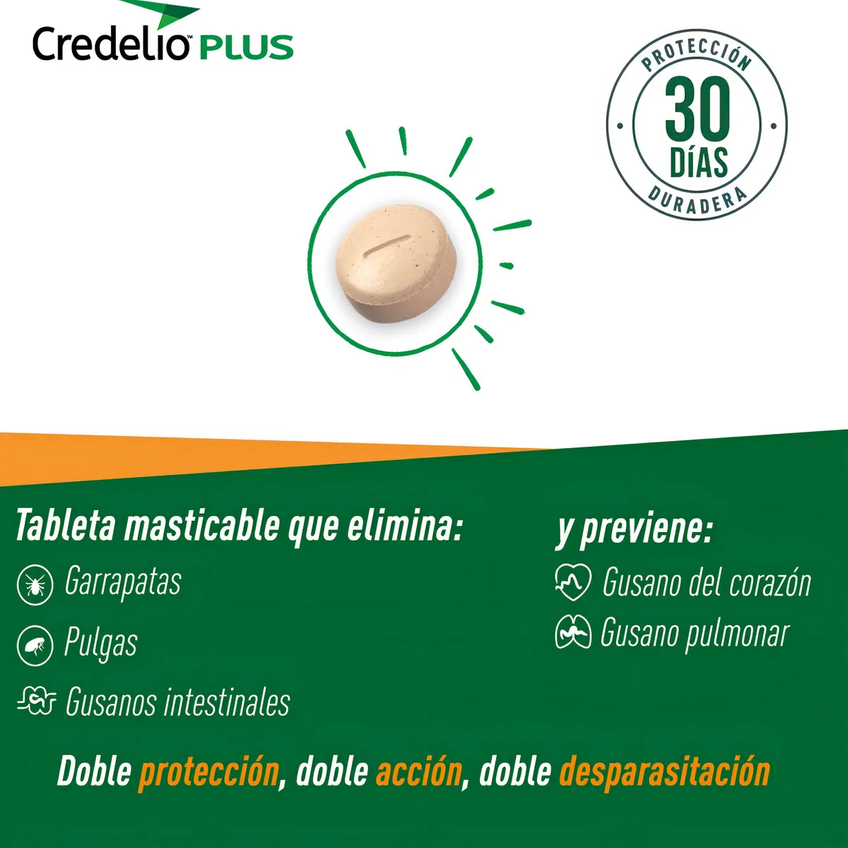 Pastilla Masticable Antipulgas para Perro 11-22kg | 3 Meses 🛡️