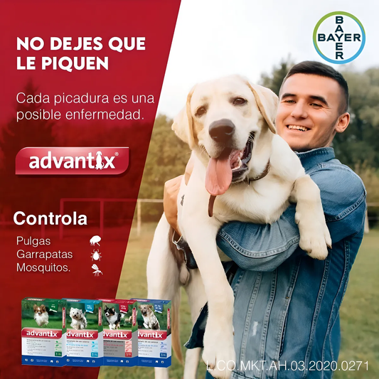 Pipeta Advantix para Perro 10-25kg | Repelente de Mosquitos 🦟