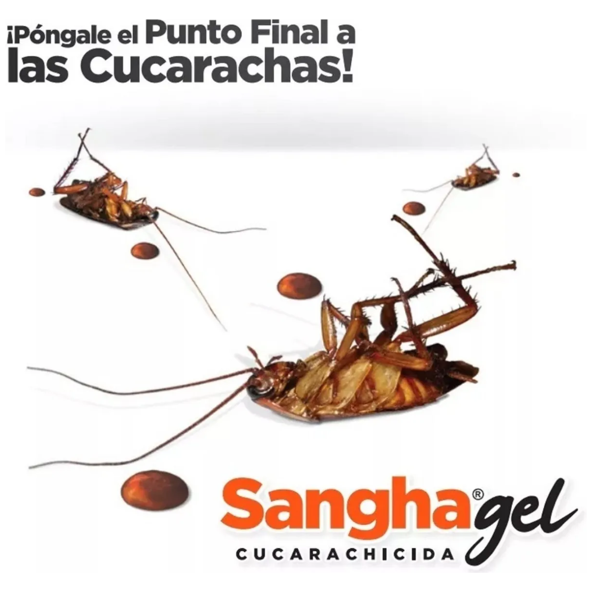 Sangha® – Control Limpio, Eficaz y Duradero 🛡️✨