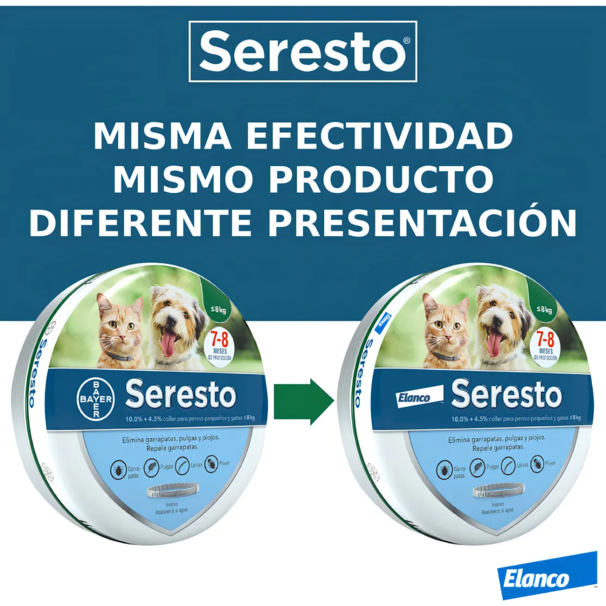 Seresto Collar para Perro <8kg | Contra Pulgas y Garrapatas 🐶