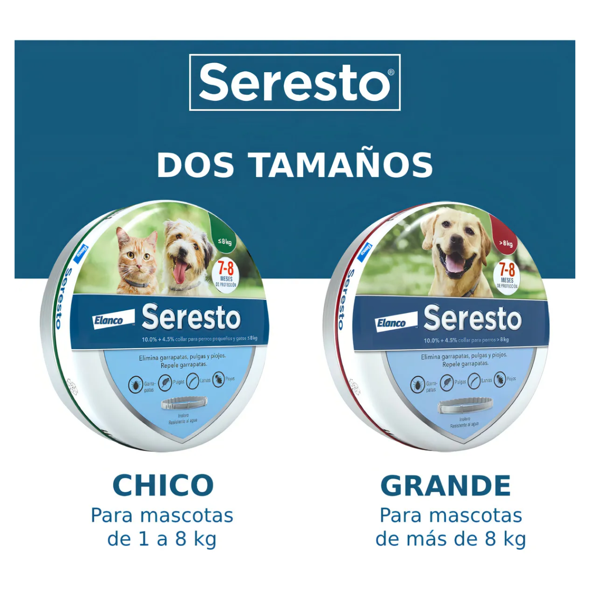 Seresto Collar para Perro <8kg | Contra Pulgas y Garrapatas 🐶