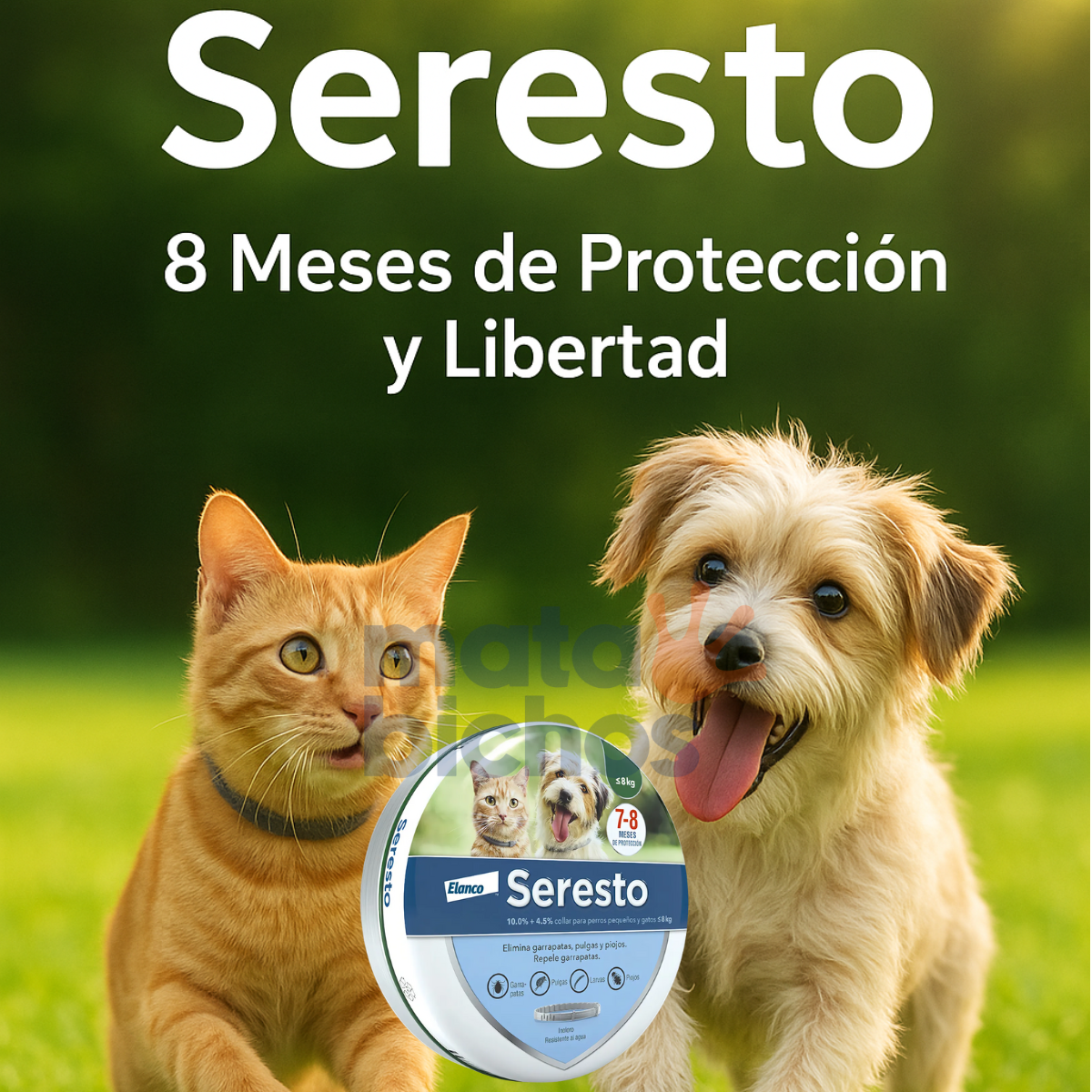 Seresto Collar para Perro <8kg | Contra Pulgas y Garrapatas 🐶