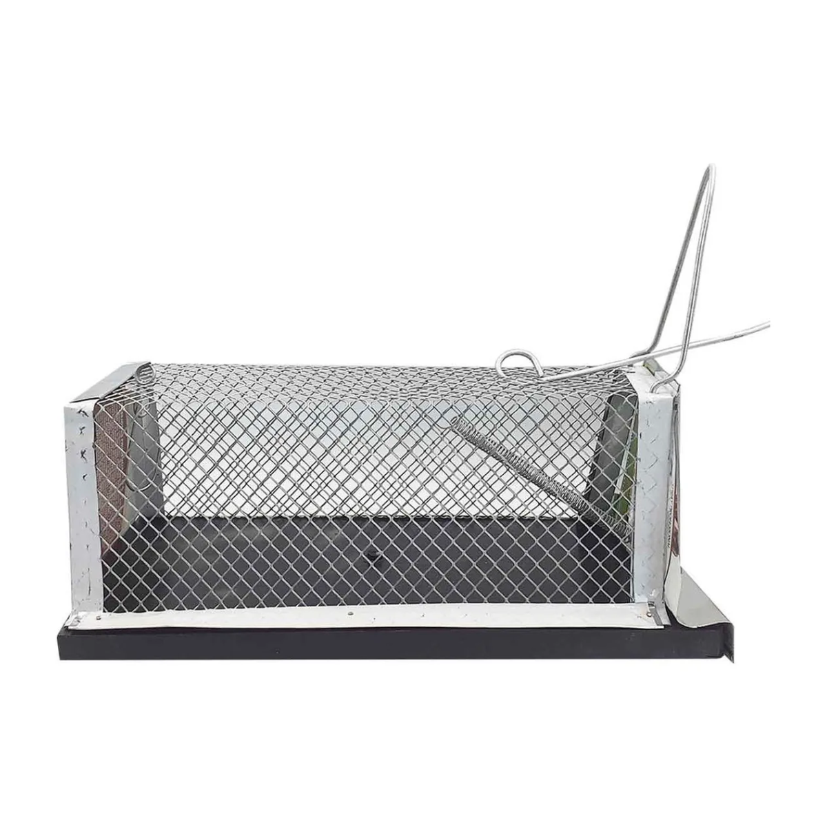 Trampa Jaula Ratonera 28x14x11cm 🐭🔒