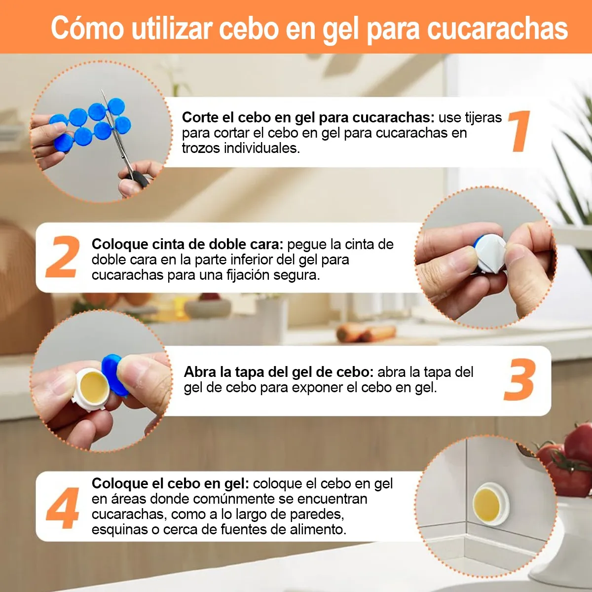 Veneno para Cucarachas en Cebo Prhealivi | Trampa Discreta 🪳