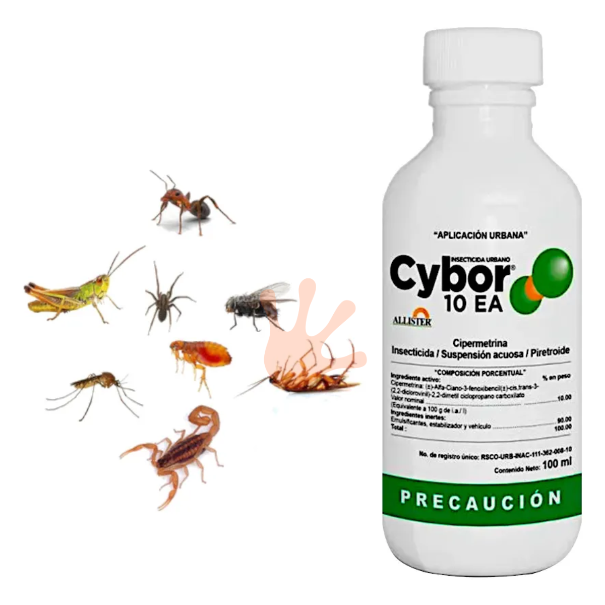 Insecticida Urbano Cybor 10 EA 100ml | Control de Plagas Sin Olor 💨