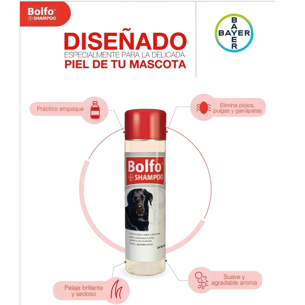 🐶🐱 Bolfo® Shampoo Antipulgas 350ml – Bayer