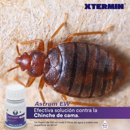 Insecticida para Chinches de Cama Astrum EW 100ml | Sin Olor 🛌