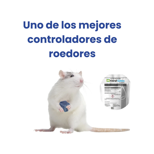 Cebo Raticida Klerat en Cubos | Veneno Dosis Única 🎯