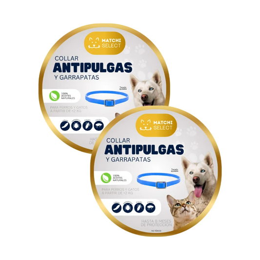 Collar Antipulgas Natural para Perro y Gato | Matchi Select 8 Meses 🌿