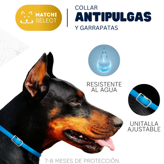 Collar Antipulgas Natural para Perro y Gato | Matchi Select 8 Meses 🌿