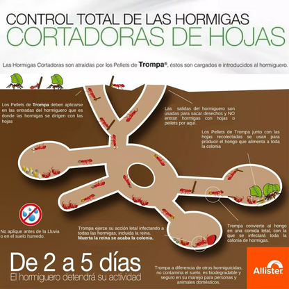 Trompa ¡El Cebo que las Arrieras No Pueden Resistir! 🐜🎯