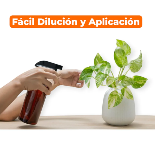 Jabón Potásico 10L Biojal | Insecticida y Fungicida Orgánico 🌱