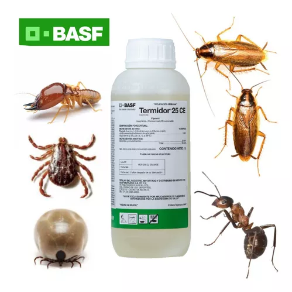🔥 Termidor® 25 CE – El Fin Absoluto de las Termitas, Cucas y Mas 🐜💀