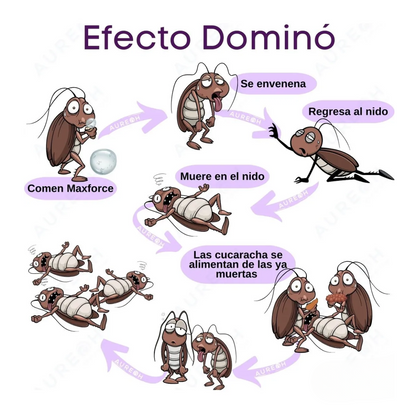 Maxforce® – Cebo Líder contra Cucarachas, Efecto Dominó Imparable 🪳💥  Descripción:
