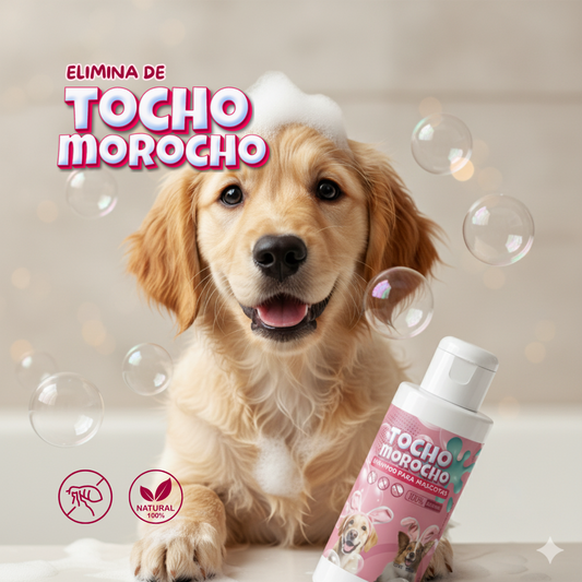 🐾Tocho Morocho -Shampoo Anti Pulgas