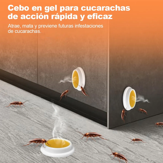 Veneno para Cucarachas en Cebo Prhealivi | Trampa Discreta 🪳