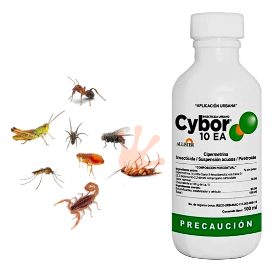 Insecticida Urbano Cybor 10 EA 100ml | Control de Plagas Sin Olor 💨