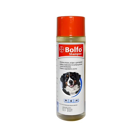 🐶🐱 Bolfo® Shampoo Antipulgas 350ml – Bayer